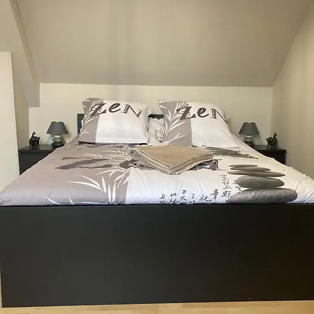 3 Etoiles Pres Du Mans Avec Bain Nordique, 12 Pers, 5 Chambres, Proche Circuit 24h Et Nature - Fr-1-410-381 Changé